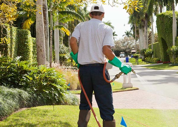 About Petroleum WV Pest Control